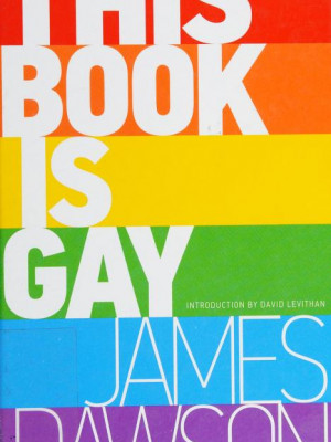 This book is gay