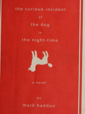 The Curious Incident of the Dog in the Night-Time